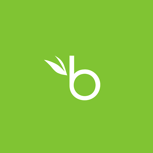 BambooHR